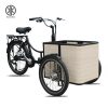 KK6005 Front Load Electric Cargo Tricycle