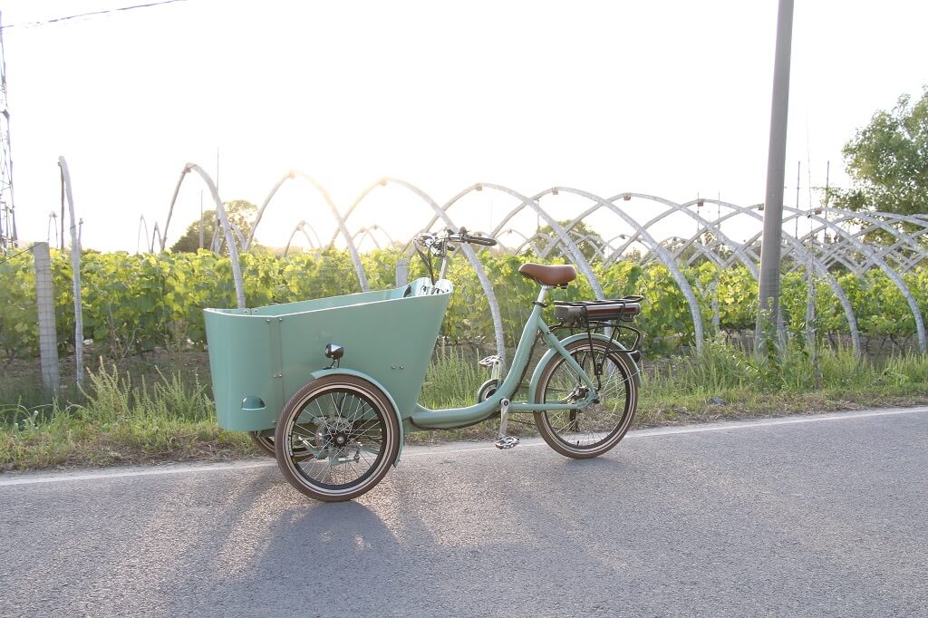 electric cargo tricycle