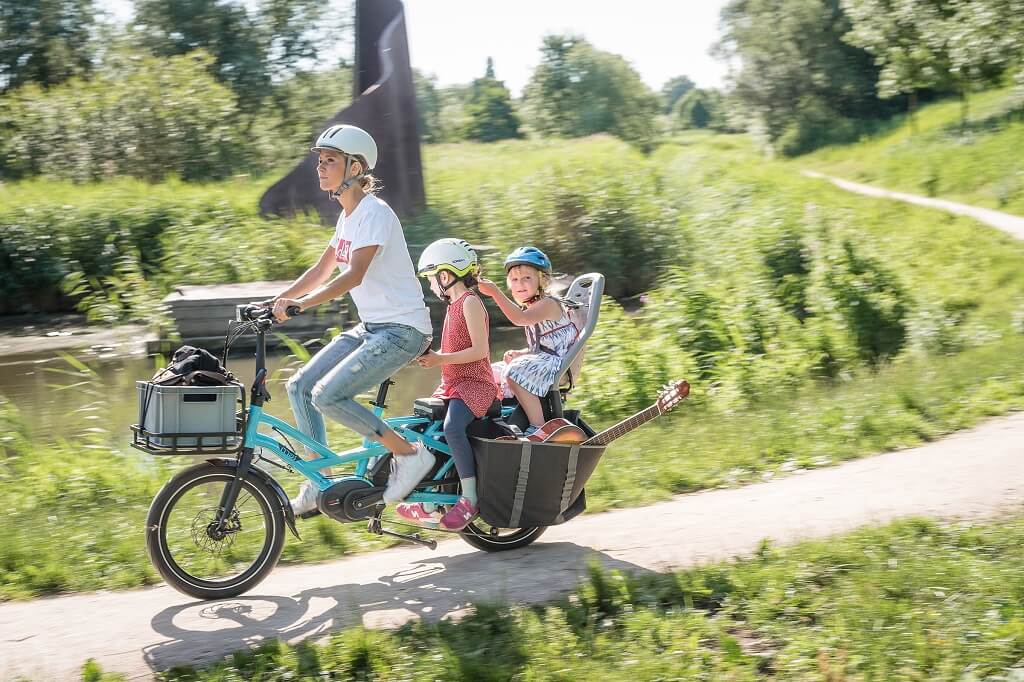 electric cargo bike