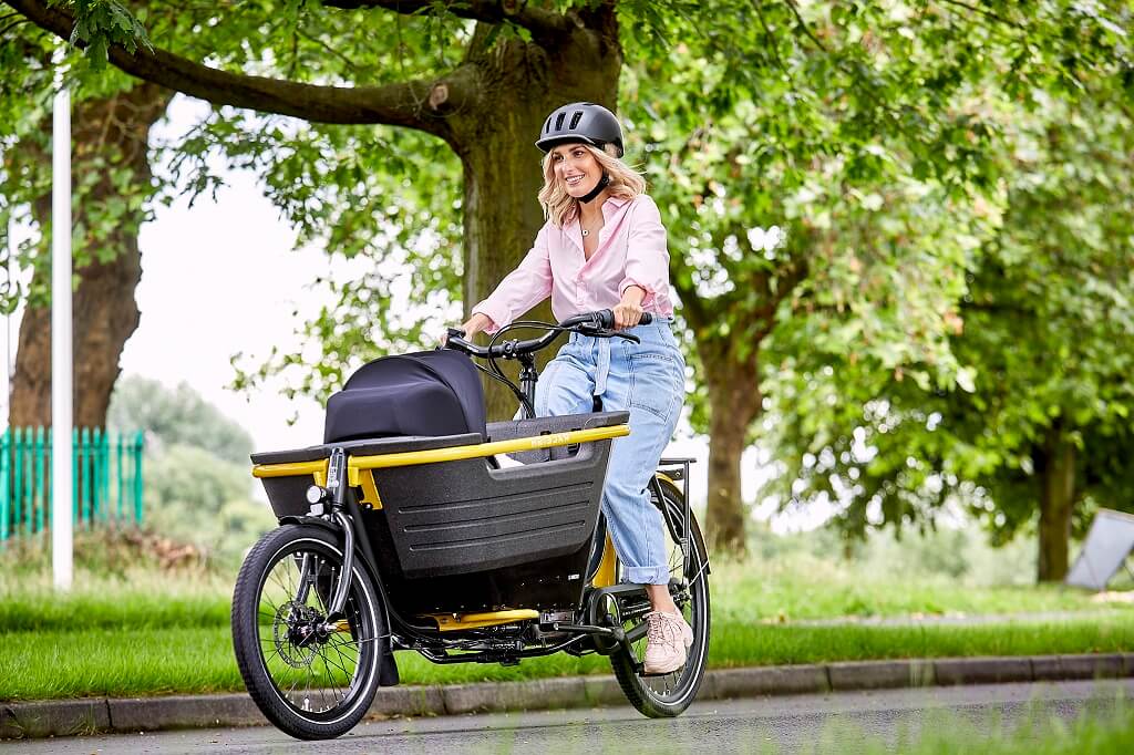 electric cargo trike